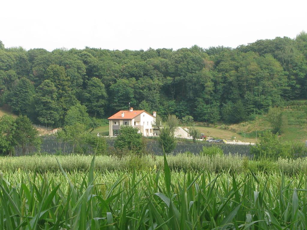 Agriturismo Casamela Paderno del Grappa Екстериор снимка