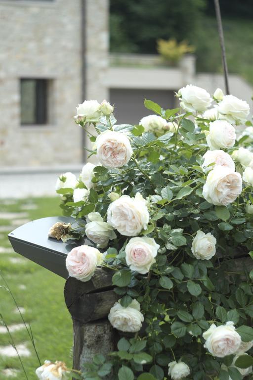 Agriturismo Casamela Paderno del Grappa Екстериор снимка