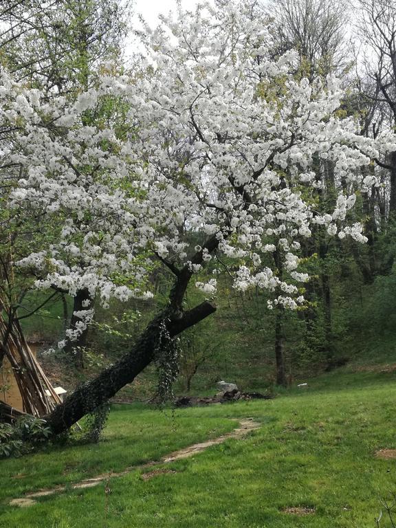 Agriturismo Casamela Paderno del Grappa Екстериор снимка